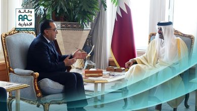 أمير قطر: مصر تمتلك إمكانات كبيرة